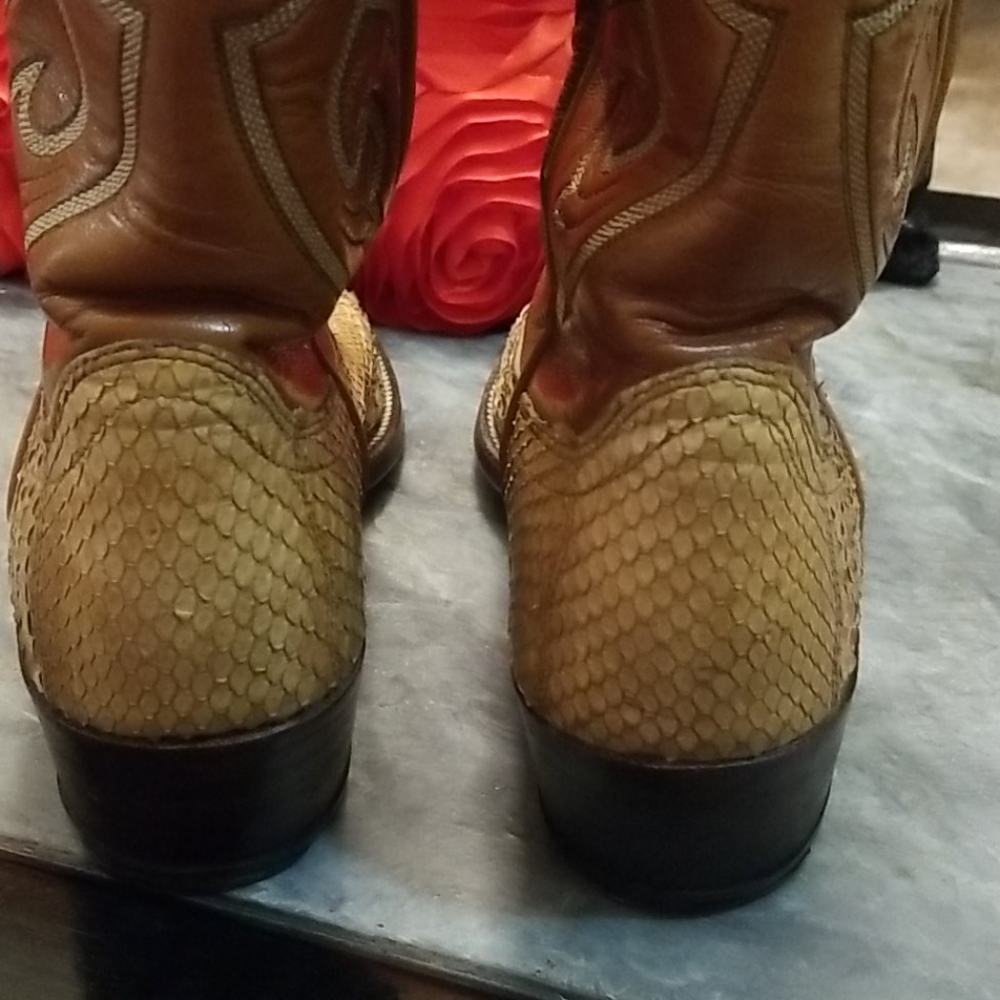 Dan Post Python - image 6